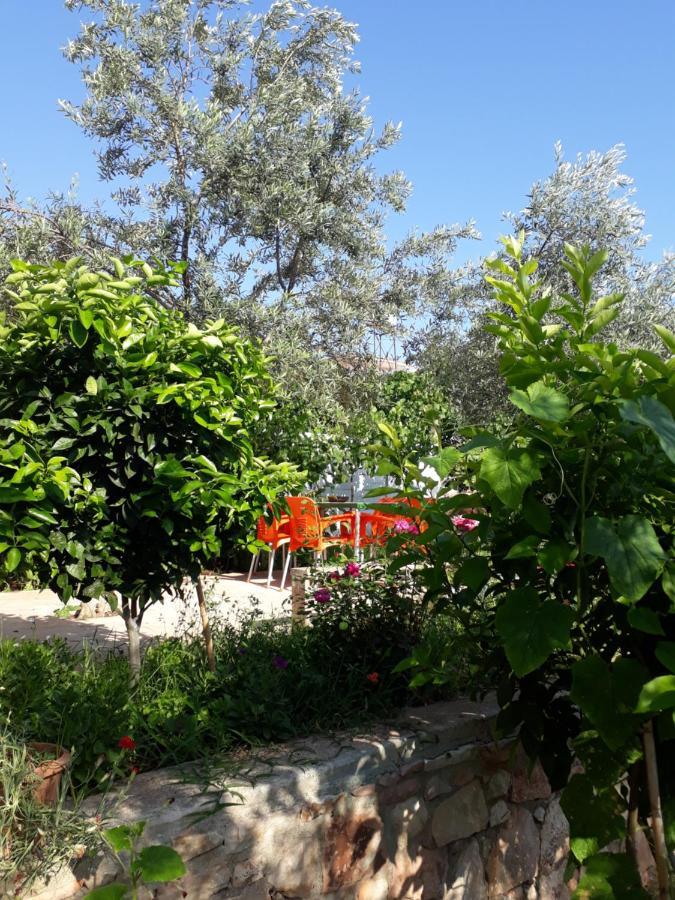 Villa Cela Ksamil Exteriér fotografie